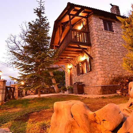 Villa Filanthi Kato Sinikia Trikalon Esterno foto