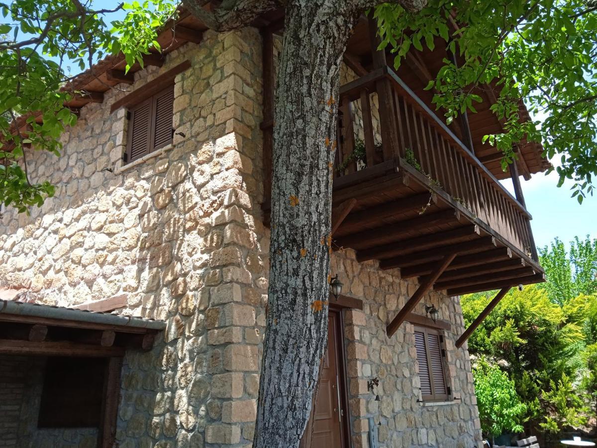 Villa Filanthi Kato Sinikia Trikalon Esterno foto