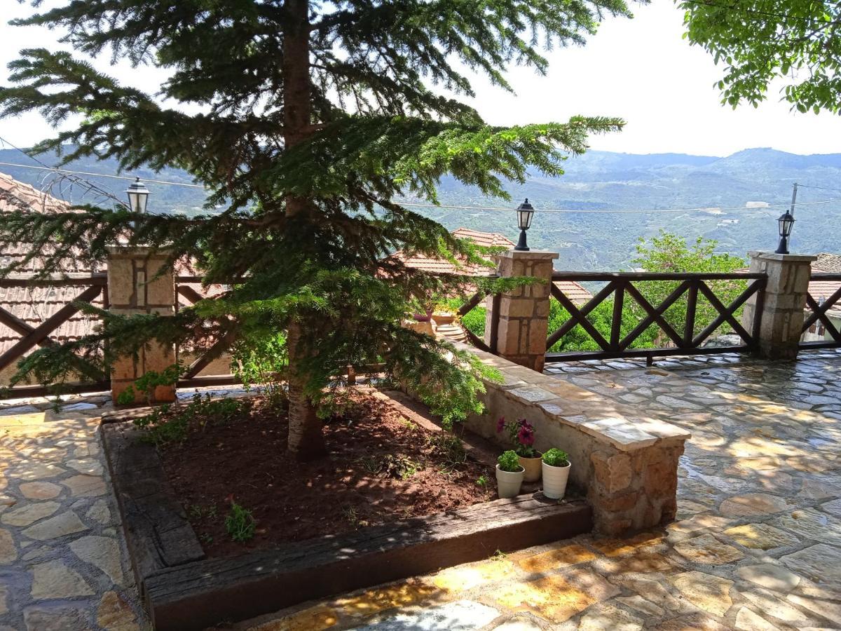 Villa Filanthi Kato Sinikia Trikalon Esterno foto