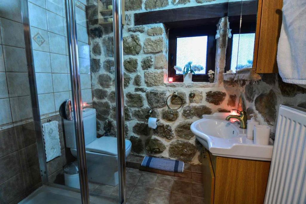 Villa Filanthi Kato Sinikia Trikalon Esterno foto