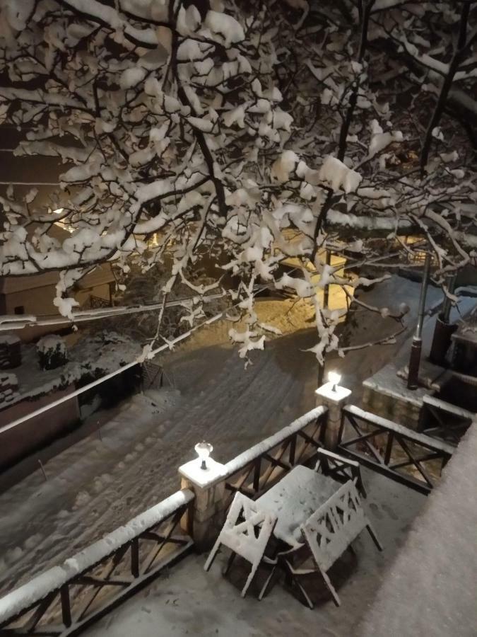 Villa Filanthi Kato Sinikia Trikalon Esterno foto