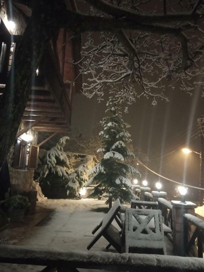 Villa Filanthi Kato Sinikia Trikalon Esterno foto