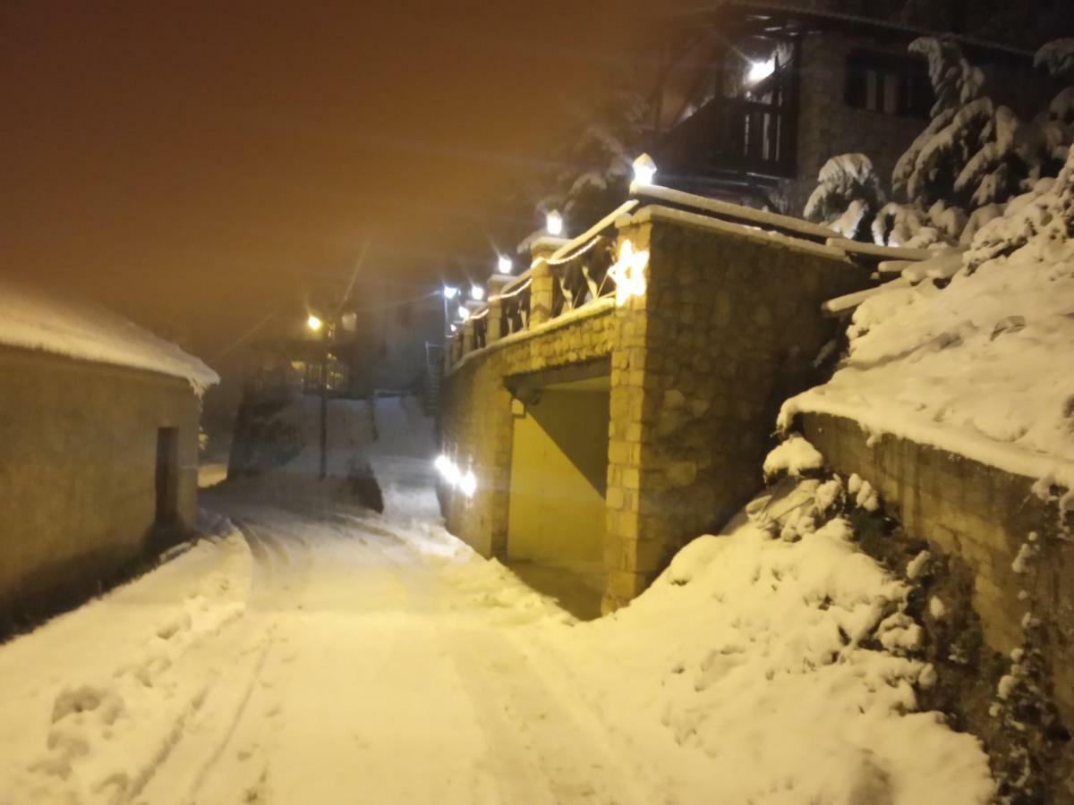 Villa Filanthi Kato Sinikia Trikalon Esterno foto