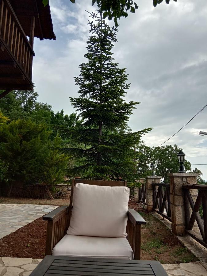 Villa Filanthi Kato Sinikia Trikalon Esterno foto