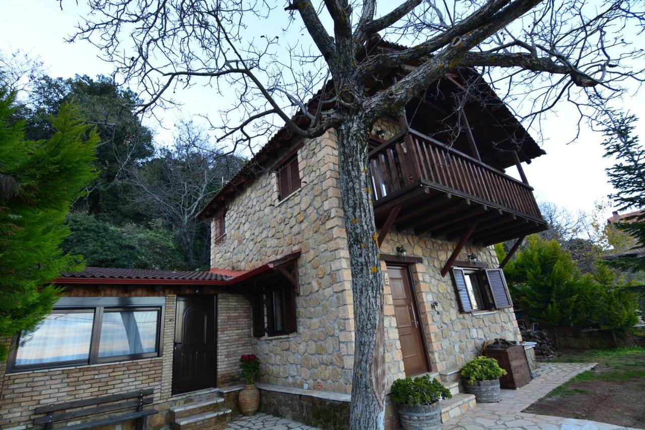 Villa Filanthi Kato Sinikia Trikalon Esterno foto