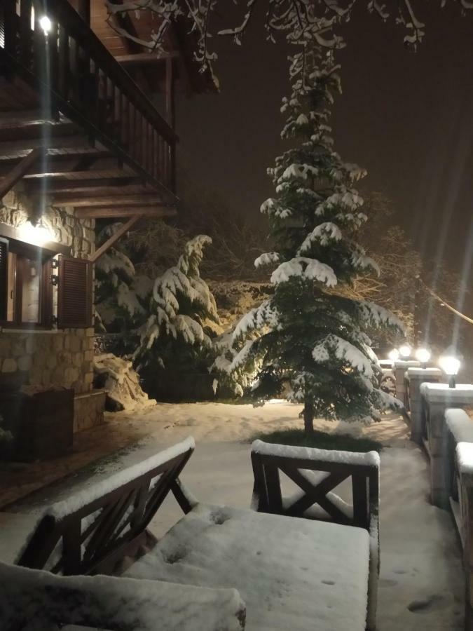 Villa Filanthi Kato Sinikia Trikalon Esterno foto